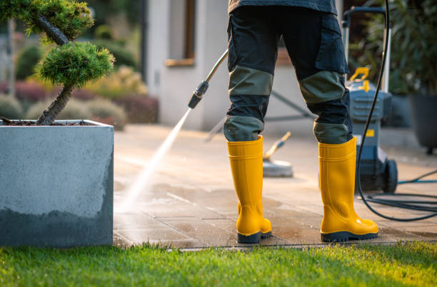 Best Roof Pressure Washing  in San Marcos, TX